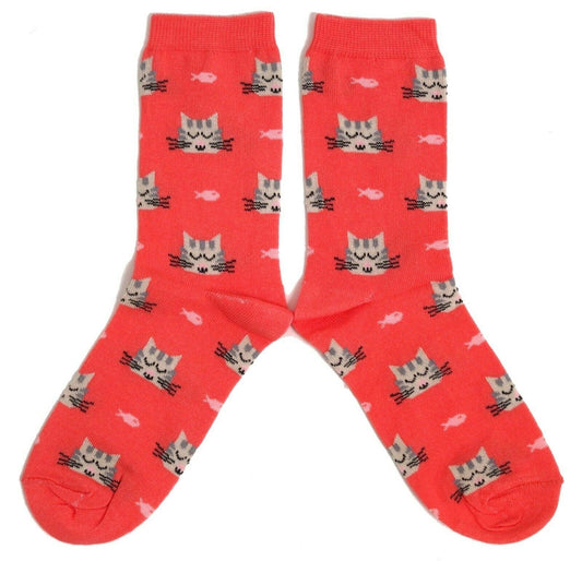 Sleeping Pussy Cat Orange Ladies Socks
