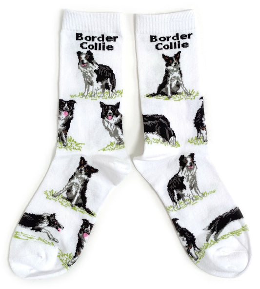 Border Collie Sheepdog Ladies Socks