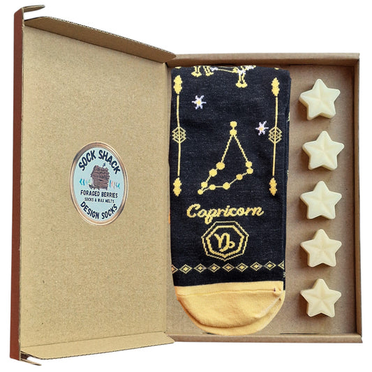 Capricorn Birthday Dec 22-Jan 19 Zodiac Star Sign Ladies Socks & Wax Melts Set