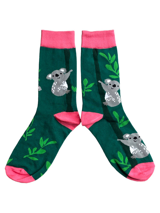Australischer Koala im Eukalyptusbaum für Herrensocken