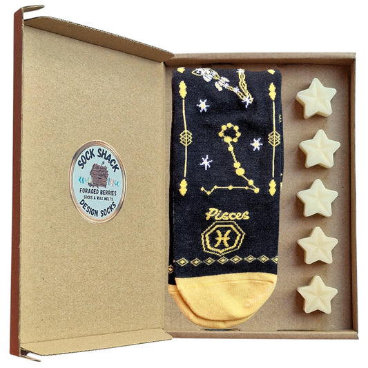 Pisces Birthday Feb 19-Mar 20 Fish Zodiac Star Sign Ladies Socks & Wax Melts Set