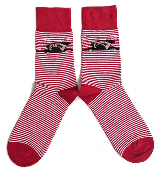 Peeping Pug Dog Red White Striped Mens Socks