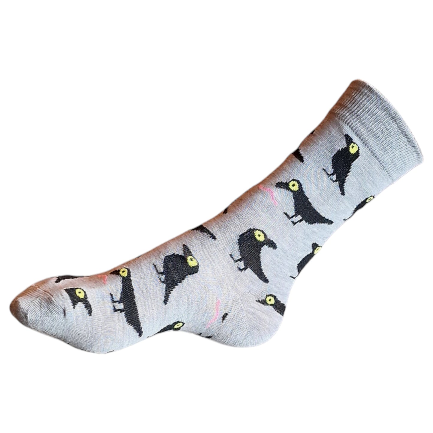 The Raven And Worms Edgar Allan Poe Ladies Socks